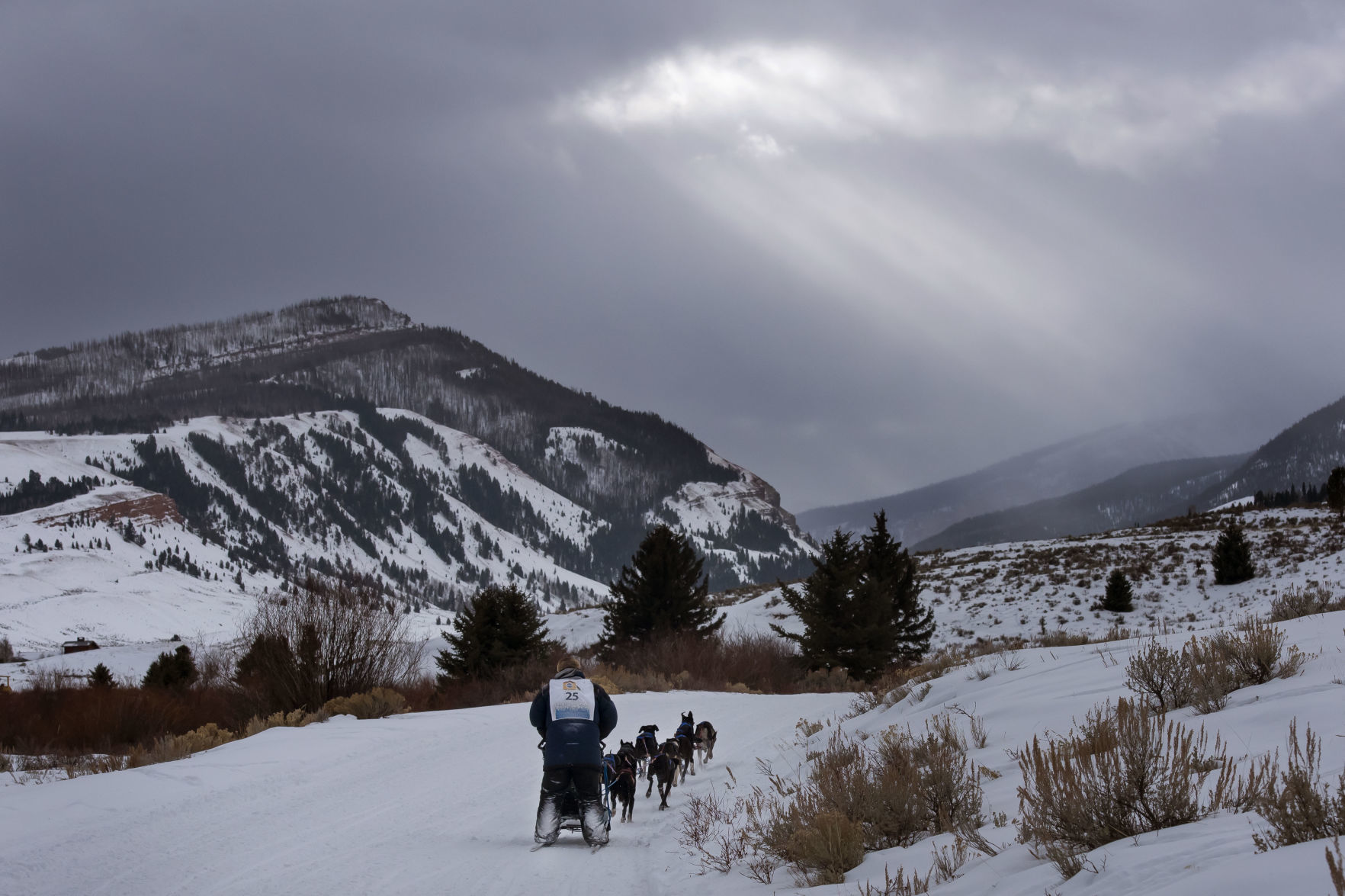 Teton County leg